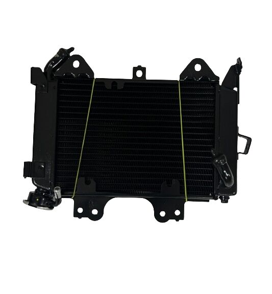 CSR PULSAR NS200 RADYATÖR ORJİNAL