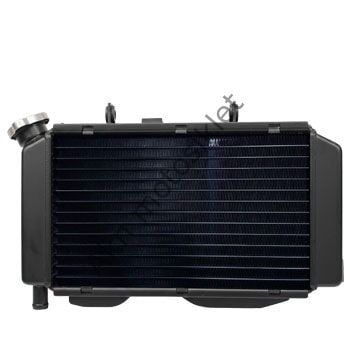 Cf Moto NK 250 Radyatör Euro 5 Oem