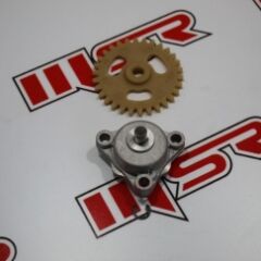 MSR YAĞ POMPASI VE DİŞLİSİ RKS TITANIC 150