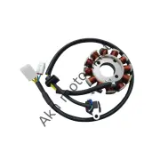 ARORA CAPPUCINO / WİNG /TURİSMO / VİRAGO 50İ STATÖR - 12 Lİ (5 KABLO)