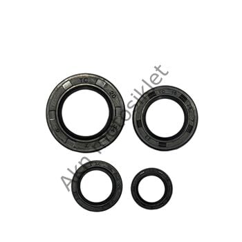 Tvs Raider 125 Keçe Takımı Oem