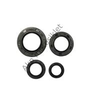 Tvs Raider 125 Keçe Takımı Oem