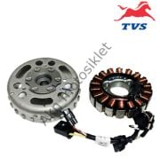 Tvs Raider 125 Statör Komple Orjinal N6060490