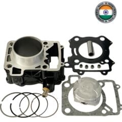 PULSAR NS200-RS200 SİLİNDİR SETİ ZENİTH (DY) SEGMAN