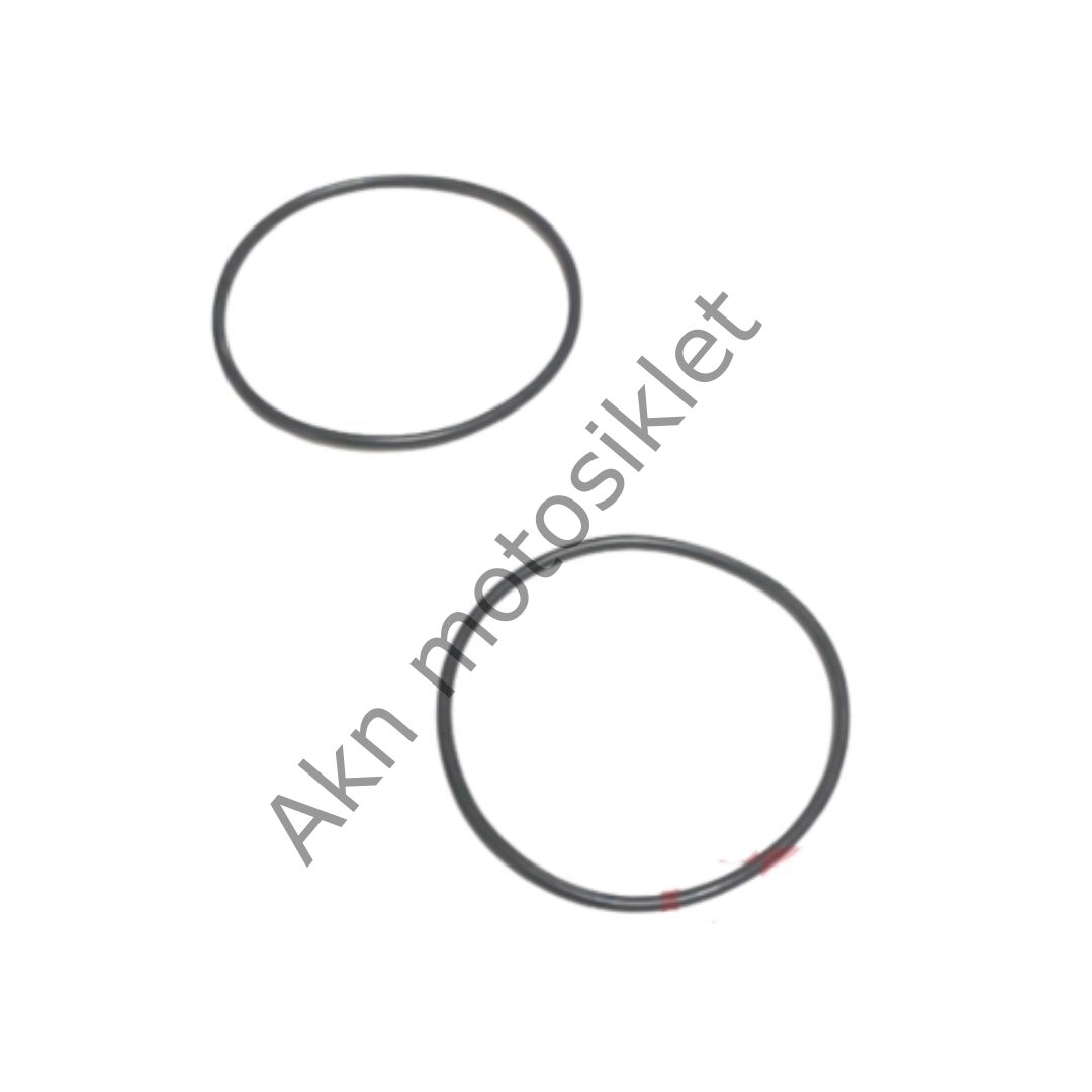 Yamaha Nmax Kasnak Oynar Oringi Alt Takım Orjinal 2DP-WB011-10