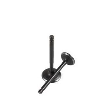 DAICO EMME EGSOZ SUBAP HONDA DIO 110 ACTIVA 125 2023 KASA