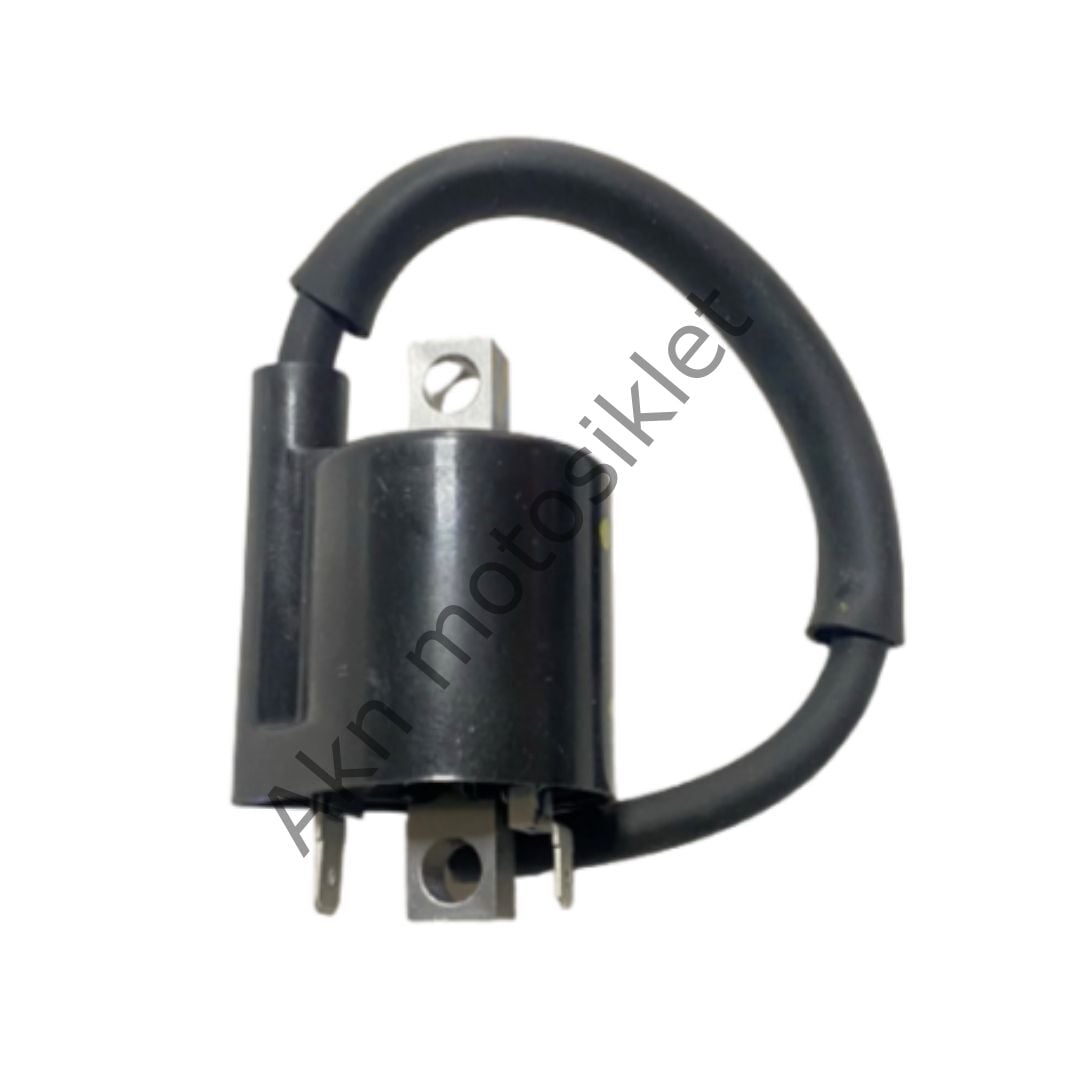 Yamaha R25 Ateşleme Bobini Orjinal 1WD-42310-01