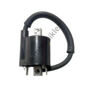 Yamaha R25 Ateşleme Bobini Orjinal 1WD-42310-01
