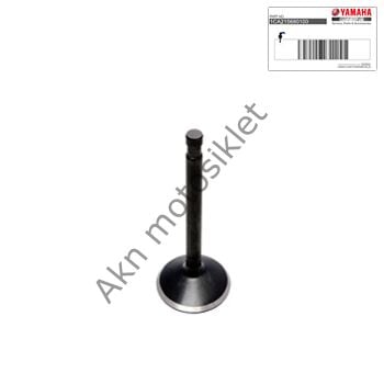 Yamaha XMax 250-300 2018-2024 Egsoz Subap Orjinal B74-E2121-00