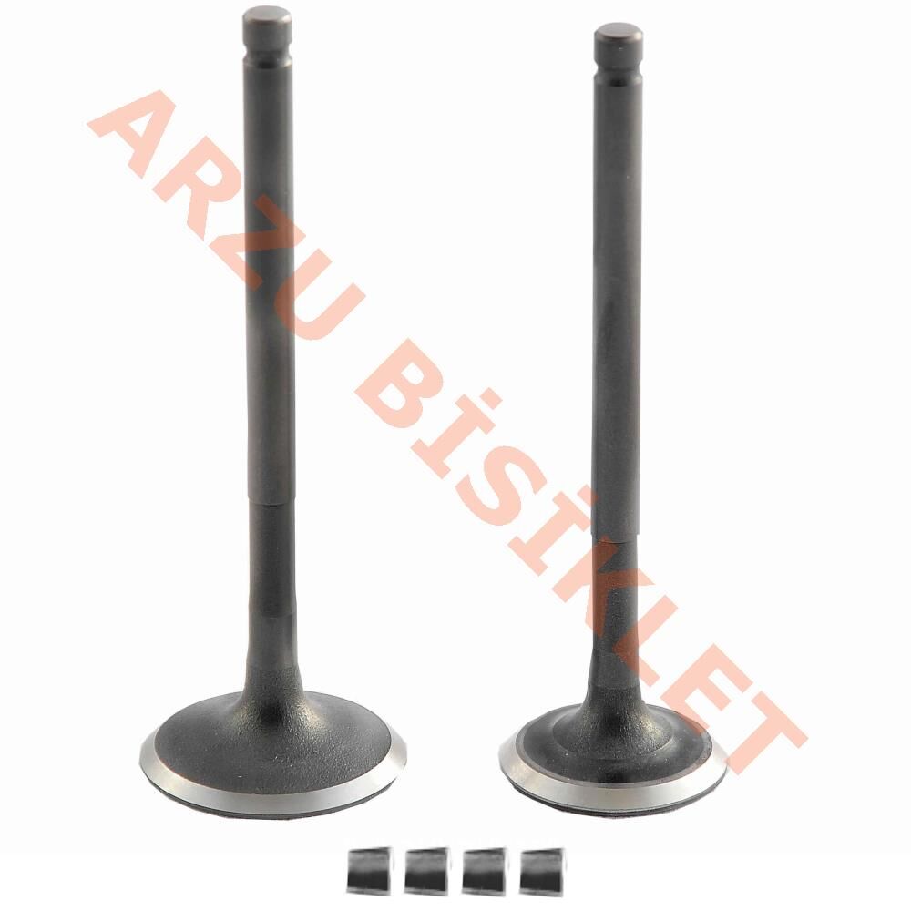 SUBAP TAKIMI [TIRNAKLI] [DQ] ACTIVA S