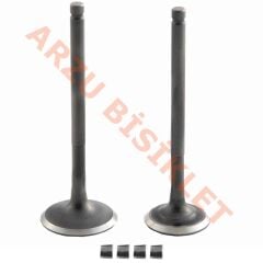 SUBAP TAKIMI [TIRNAKLI] [DQ] ACTIVA S