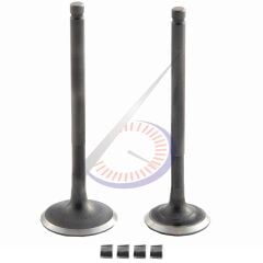 SUBAP TAKIMI [TIRNAKLI] [DQ] FIZY