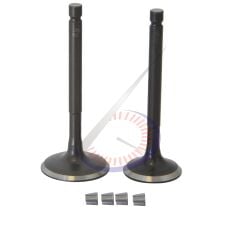 SUBAP TAKIMI [TIRNAKLI] [VTC] YBR