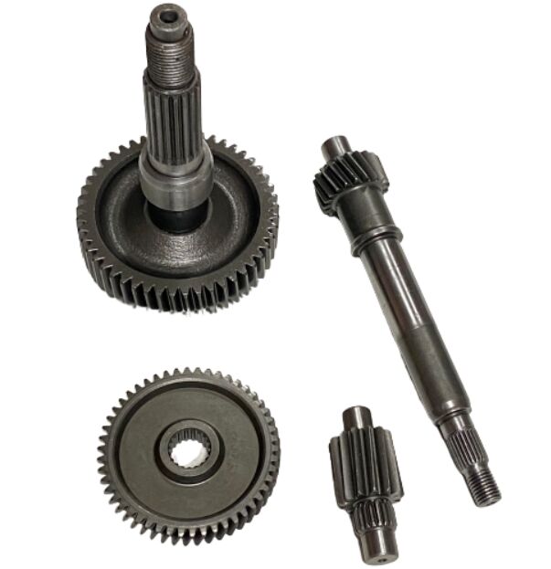 CSR ACTIVA ŞANZIMAN KOMPLE HİNDİSTAN