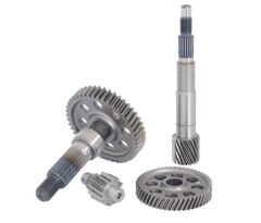 DIO ŞANZIMAN SETİ KOMPLE